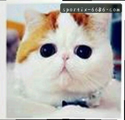 王磊