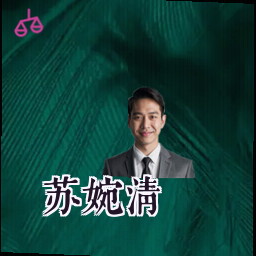 苏婉清
